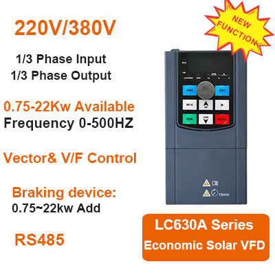 Indian business delegation visits, opening a new chapter of long-term cooperation